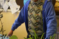 Framlingham Horticultural Society