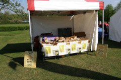 Fram Food, Drink and Music Festival 2011