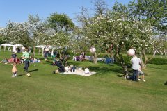Fram Food, Drink and Music Festival 2011