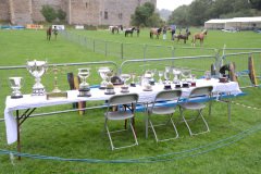 Fram Horse Show 2011