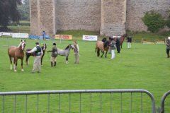 Fram Horse Show 2011