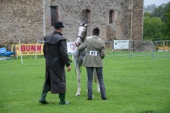 Fram Horse Show 2011