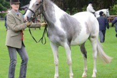 Fram Horse Show 2011