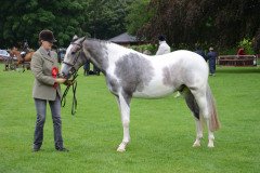 Fram Horse Show 2011