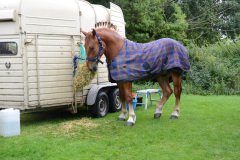 Fram Horse Show 2011