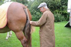 Fram Horse Show 2011