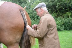 Fram Horse Show 2011