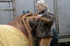 Fram Horse Show 2011