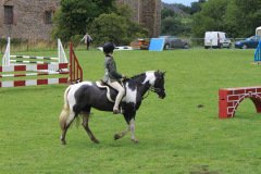 Fram Horse Show 2011