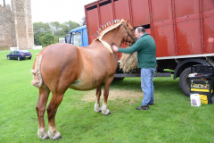 Fram Horse Show 2011