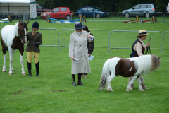 Fram Horse Show 2011