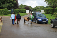 Fram Horse Show 2011