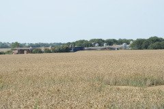 Farming