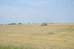 Farming