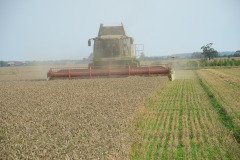 Farming
