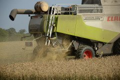 Farming