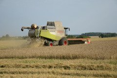 Farming