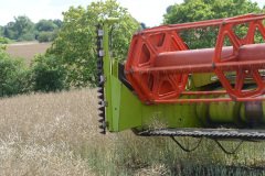 Farming