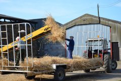 Threshing