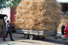 Threshing