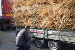 Threshing