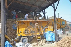 Threshing