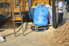 Threshing