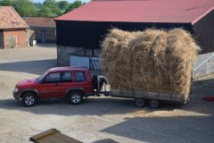 Threshing