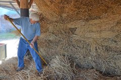 Threshing