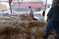 Threshing