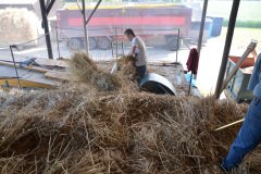 Threshing