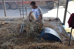 Threshing