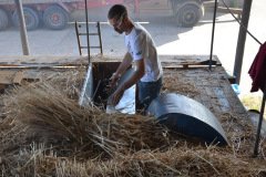 Threshing