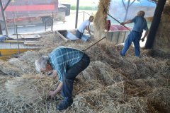 Threshing