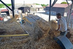 Threshing