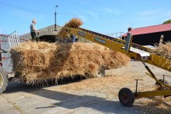 Threshing