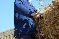 Threshing