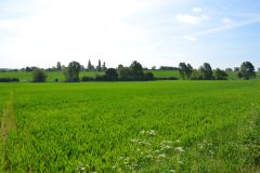 Threshing