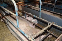 Countess Wells Pig Unit