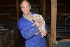 Countess Wells Pig Unit