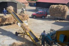 Threshing