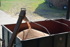 Threshing