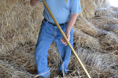 Threshing