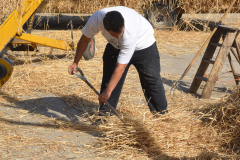 Threshing