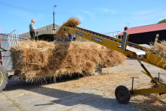 Threshing