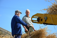 Threshing