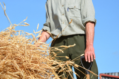 Threshing