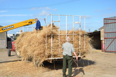 Threshing