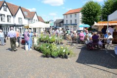 Saturday Market