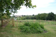 Community Garden